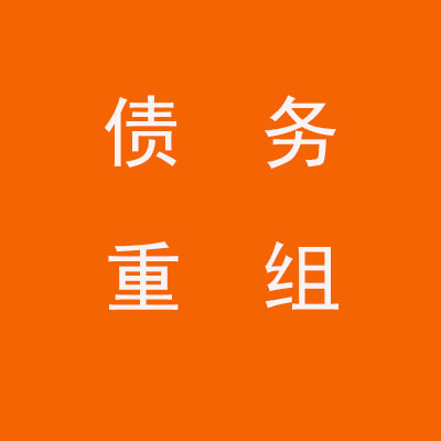 湛河个人债务重组优化